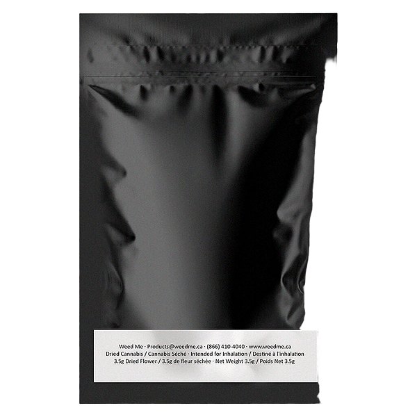 WINK - Citrus Tsunami