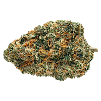 Soar - Biscotti Squeeze