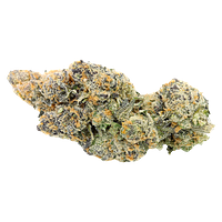 Sitka Legends - White Hot Guava