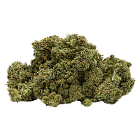 Endgame - Frozen Jelly