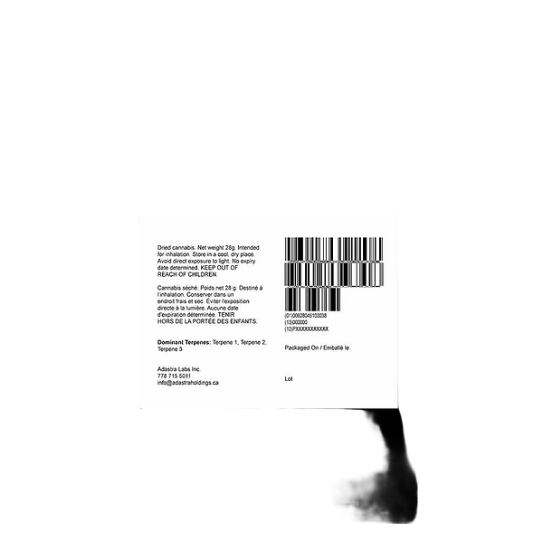 Endgame - Frozen Jelly