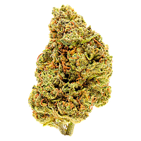 Palmetto - Goldberry