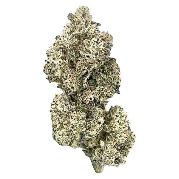 HighXotic - Royal Dive #5: Purple Zombie