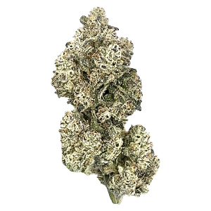 HighXotic - Royal Dive #5: Purple Zombie