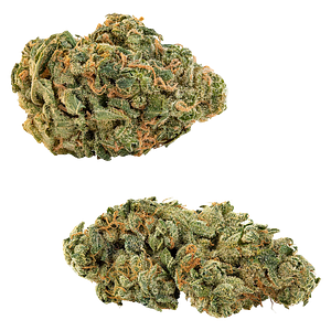 Big Bag O' Buds - Comboz: Ultra Sour + Tropical Cookies