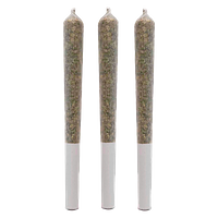Victoria Cannabis Company - Rainbow Marker Pre Roll