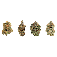 1964 - Mix N Match Variety Pack Lto