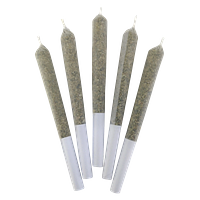 DEALR - Jelly Beanz Pre Roll