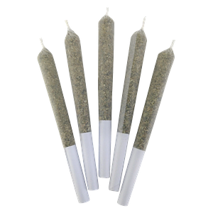 DEALR - Jelly Beanz Pre Roll