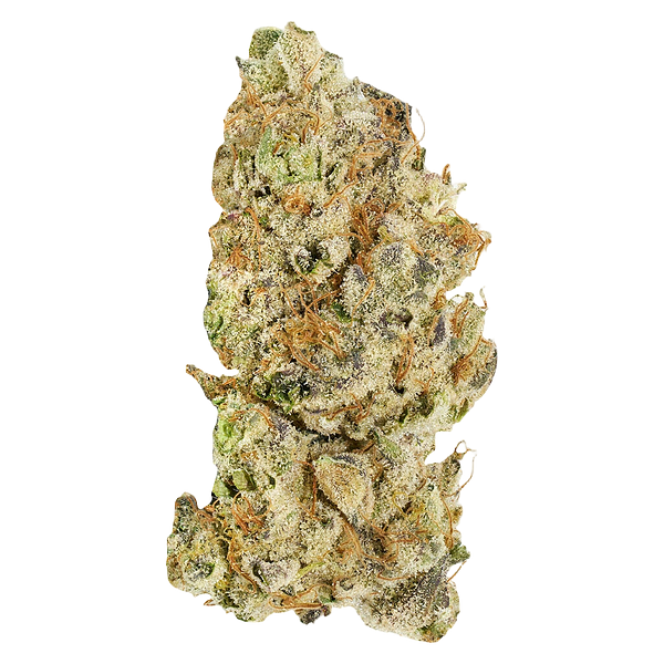 Broken Coast - Platinum Pave