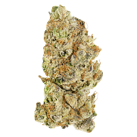 Broken Coast - Platinum Pave