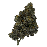 Rocket Factory - Exotic Matter