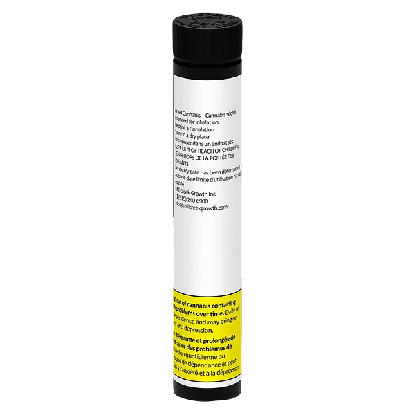 EZE - Dreams Pre-Roll