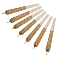 Blendcraft - Daily's Sativa Pre-Roll