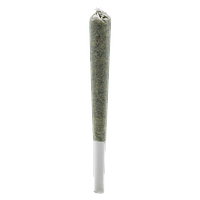 Simply Bare - BC Organic Fire OG Rosin Pre-Rolls