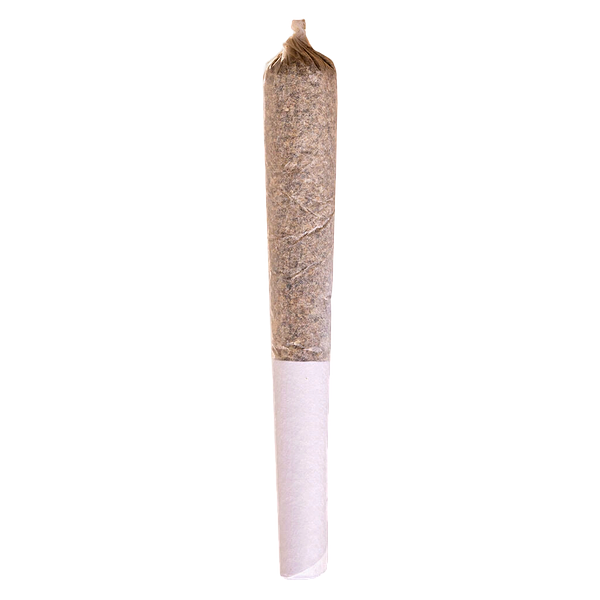 Station House - Jack Herer Pre-Roll