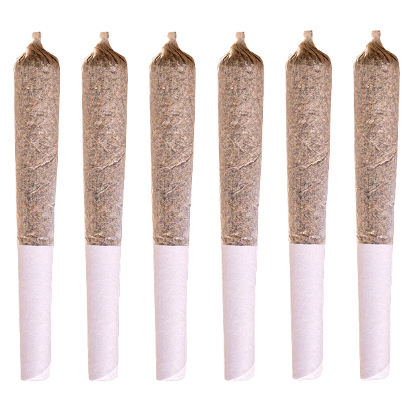 Station House - Jack Herer Pre-Roll