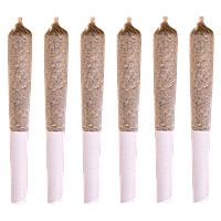 Station House - Jack Herer Pre-Roll