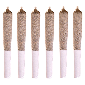 Station House - Jack Herer Pre-Roll