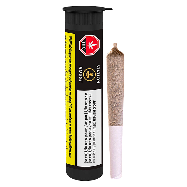 Station House - Jack Herer Pre-Roll