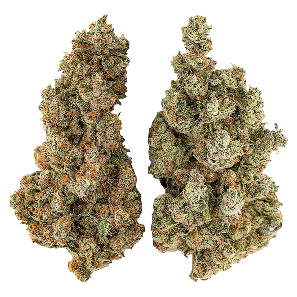 Highly Dutch - Organic Butter Cookies x Organic NYC Juggernaut