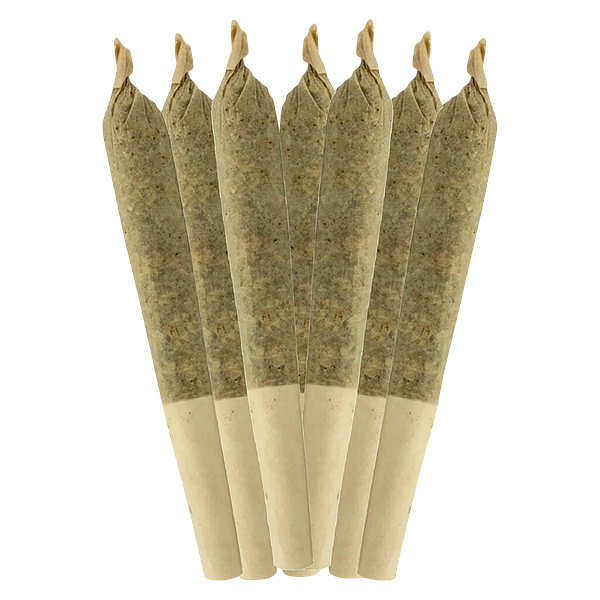 Sheeesh! - Dia De Los Muertos Pre-Roll