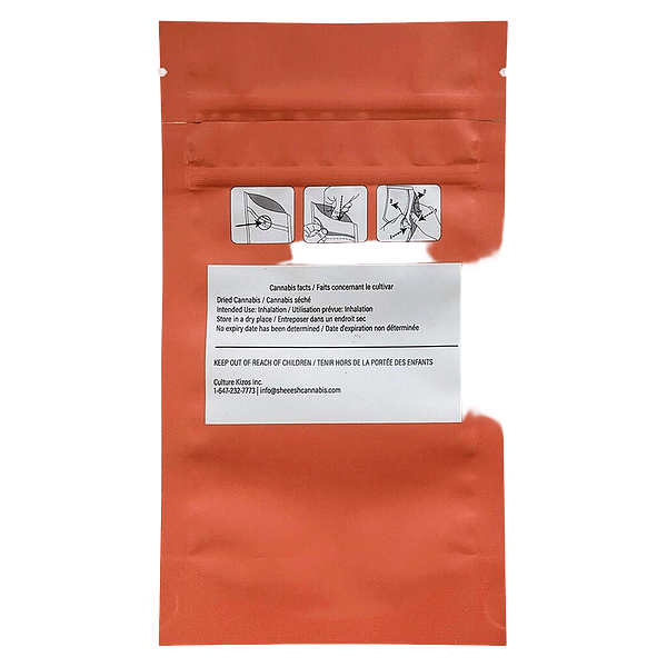 Sheeesh! - Dia De Los Muertos Pre-Roll