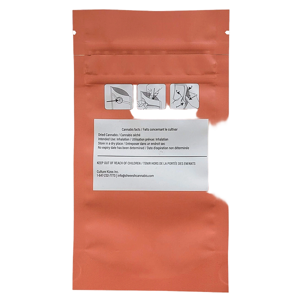 Sheeesh! - Dia De Los Muertos Pre-Roll