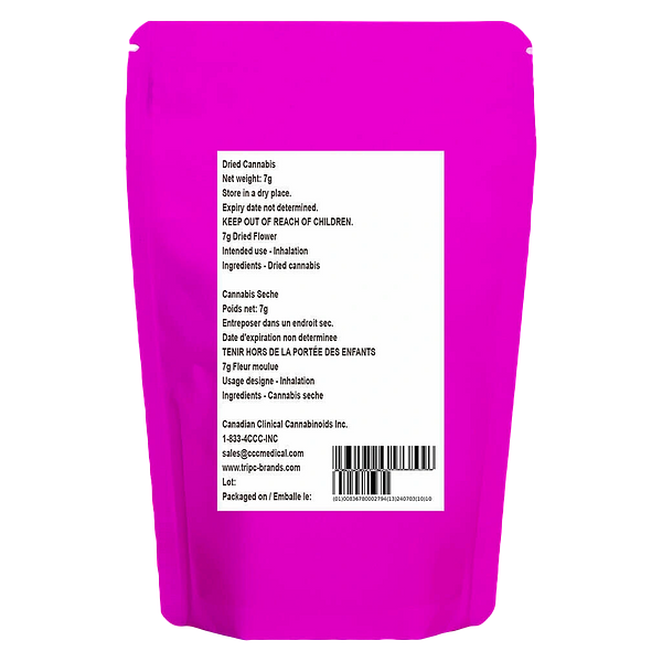 The Loud Plug - Purple Rain