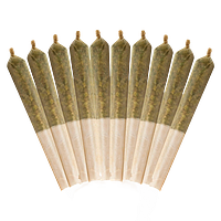 Buddy Blooms - Ethos Glue Pre-Roll