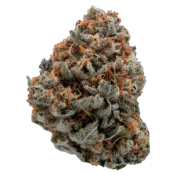 Top Leaf - Black Domina