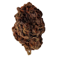 Dime Bag - Purple Poison