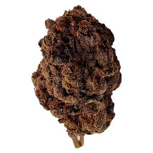 Dime Bag - Purple Poison