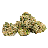 Highly Dutch - Organic Minis