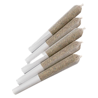 FOUR54 - Red Rozay Pre Roll