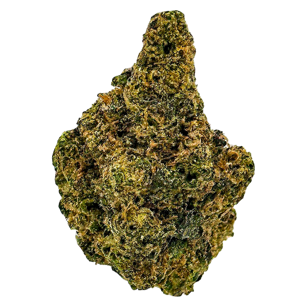 Skosha - Purple Caviar