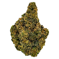 Skosha - Purple Caviar