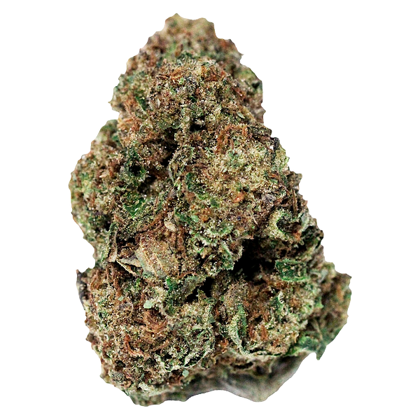 Jonny Chronic - Northern Lights
