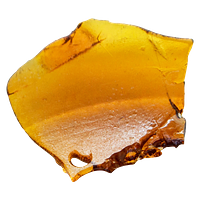 Nugz Shatter - Early Lemon Berry Shatter