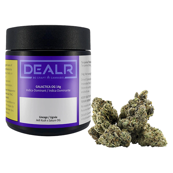 DEALR - Galactica Og
