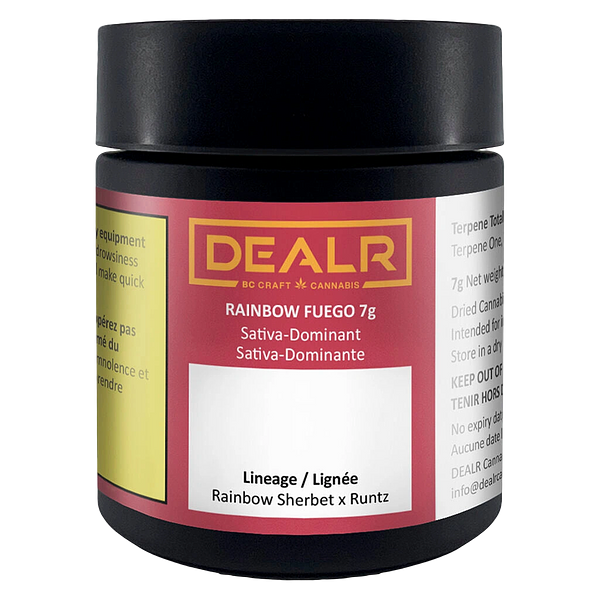 DEALR - Rainbow Fuego