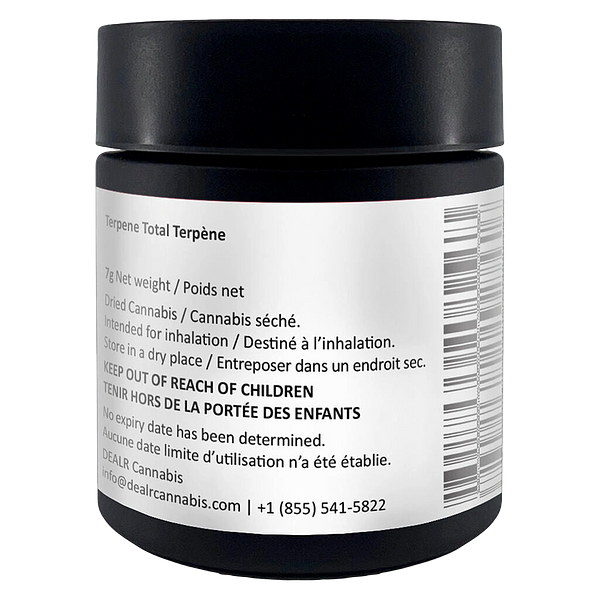 DEALR - Rainbow Fuego