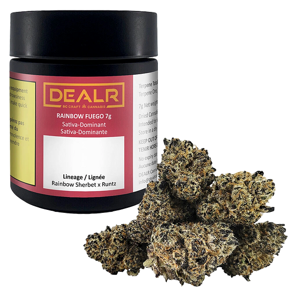 DEALR - Rainbow Fuego
