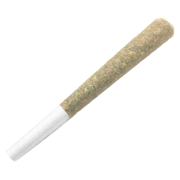 Bullrider - Afghani Bullrider Pre-roll