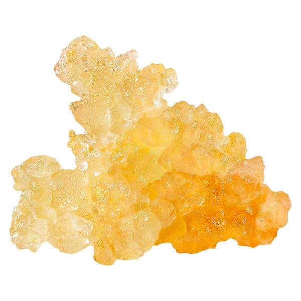Lord Jones - Gorilla Grape Live Resin Caviar image 1