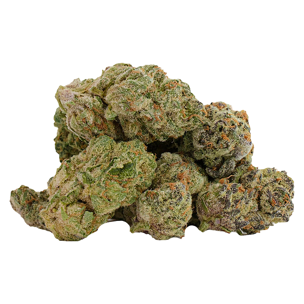 Castle Rock Farms - Glitterbomb X Rainbow Cheddar #5