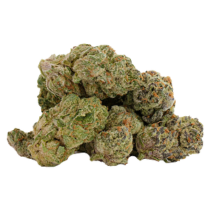 Castle Rock Farms - Glitterbomb X Rainbow Cheddar #5