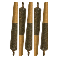 Sheeesh! - Key Lime Slice Cured Resin Infused Pre-Roll