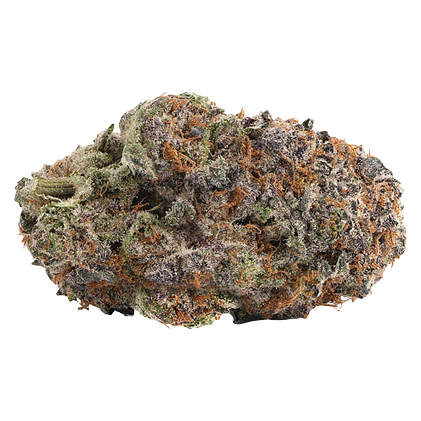 WINK - Purple Push Pop