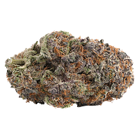 WINK - Purple Push Pop